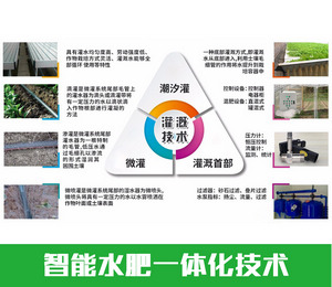 智慧農業(yè)|山東華勝溫室智能水肥一體化技術設備實施方案