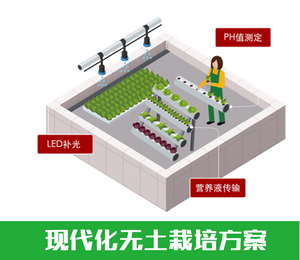 智慧農業(yè)|農業(yè)物聯(lián)網(wǎng)智能無土栽培|山東農業(yè)自動化節(jié)水灌溉