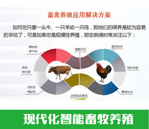 智慧農業(yè)|現(xiàn)代化智能畜牧養(yǎng)殖解決方案