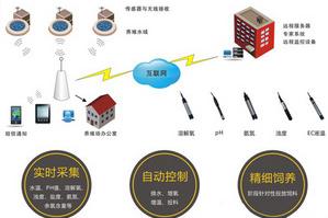 山東華勝物聯(lián)網(wǎng)智能水產養(yǎng)殖系統(tǒng)設計方案
