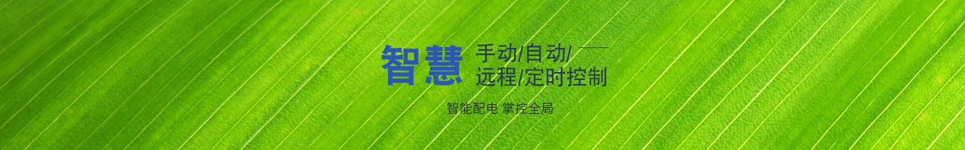 現(xiàn)代農業(yè)物聯(lián)網領航者-華勝物聯(lián)網科技有限公司