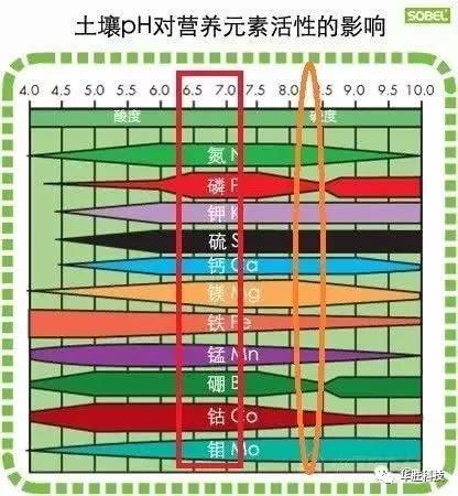 土壤的三大“殺手” 直接影響肥效和作物生長(zhǎng)，90％的人都不知道！